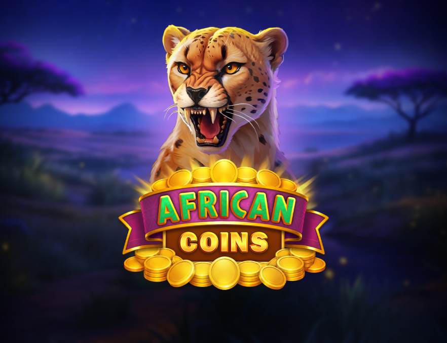 african-coins-hold-and-spin
